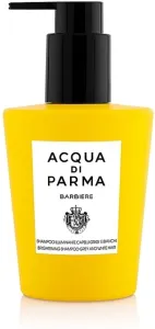 Acqua di Parma Barbiere - shampoo illuminante per capelli grigi e bianchi 200 ml