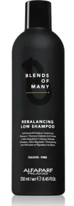 Alfaparf Milano Blends of Many Rebalancing Low Shampoo shampoo detergente contro la forfora 250 ml