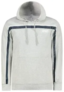 Men's hoodie Aliatic Sport #1729016