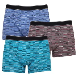 3PACK Men's Boxers Andrie Multicolor (PS 5648)
