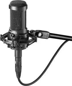 Audio-Technica AT 2050 Microfono a Condensatore da Studio