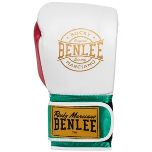 Lonsdale Leather boxing gloves #2955638