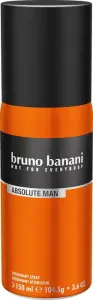 Bruno Banani Absolute Man - deodorante spray 150 ml