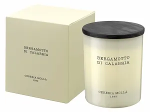 Cereria Mollá Candela profumata Bergamotto di Calabria (Candle) 230 g