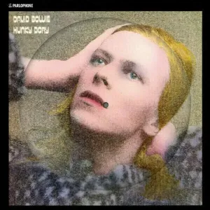 David Bowie - Hunky Dory (Picture Disc) (LP)