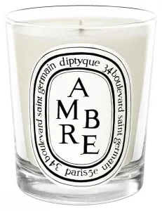 Diptyque Ambre - candela 190 g