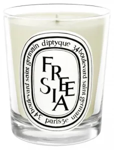 Profumi - Diptyque