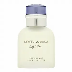 Dolce & Gabbana Light Blue Pour Homme Eau de Toilette da uomo 40 ml #2276097
