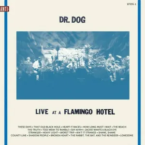 Dr. Dog - Live At A Flamingo Hotel (2 LP)