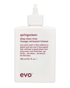 evo Shampoo pulizia profonda per capelli ricci e mossi Springsclean (Deep Clean Rinse) 300 ml