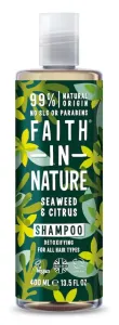 Faith in Nature Shampoo naturale all’alga marina per tutti i tipi di capelli (Detoxifying Shampoo) 400 ml