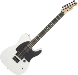 Fender Jim Root Telecaster Flat White #1134