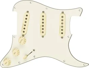 Fender Pre-Wired Strat SSS V NSLS #21638