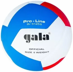 Gala Pro Line 12 Pallavolo indoor