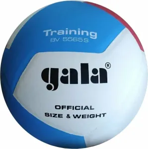 Gala Training 12 Pallavolo indoor