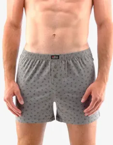 Men's shorts Gino gray #1766998