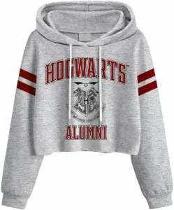 Harry Potter Felpa con cappuccio Hogwarts Alumni Ladies Grey 2XL