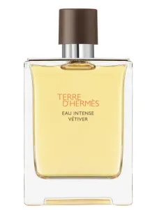 Hermes Terre D'Hermes Eau Intense Vetiver Eau de Parfum da uomo 100 ml