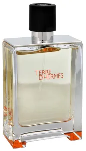Hermes Terre D´ Hermes - EDT TESTER 100 ml