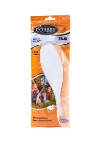 Corbby Fresh Day Year-round Sanitary Liners 3 Pairs #1275723
