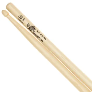 Los Cabos LCD5BH 5B Hickory Bacchette Batteria