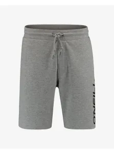 ONeill Mens Sweatpants O'Neill Shorts - Men #1294495