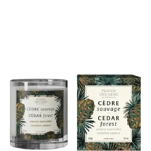 Panier des Sens Candela profumata Home Cedar Forest (Scented Candle) 275 g