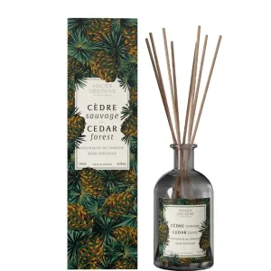 Panier des Sens Diffusore di fragranza Cedar Forest (Reed Difuzer) 245 ml