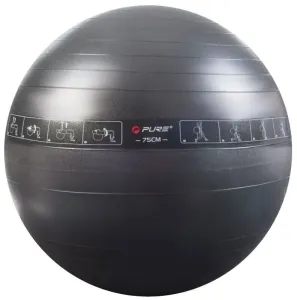 Pure 2 Improve Exercise Ball Nero 75 cm
