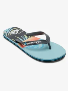 Men's flip-flops Quiksilver MOLOKAI PANEL