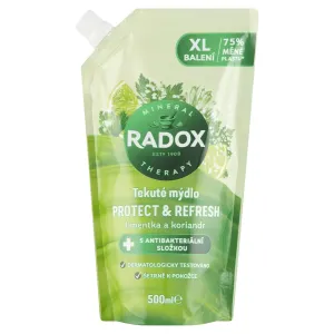 Radox Sapone liquido con componente antibatterico Protect & Refresh - ricarica 500 ml