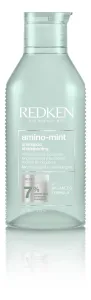Redken Shampoo detergente per cute sensibile e capelli rapidamente grassi Amino Mint (Shampoo) 300 ml