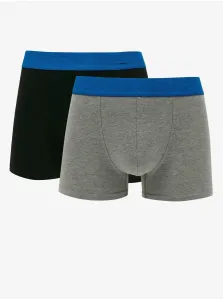 Set of two men's boxers in black and gray Replay - Men #2229359