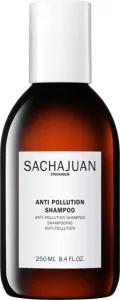 Sachajuan Balsamo anti-sporco (Anti Pollution Shampoo) 250 ml