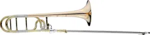 Schagerl B/F TP-450G Trombone Sib / F