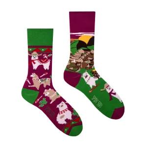 Socks Spox Sox Colorful Casual #166519