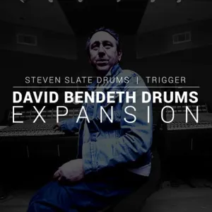 Steven Slate Trigger 2 David Bendeth (Expansion) (Prodotto digitale)