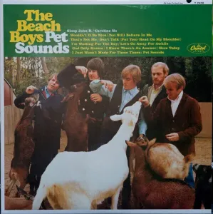 The Beach Boys - Pet Sounds (Mono) (200g) (45 RPM) #2690722