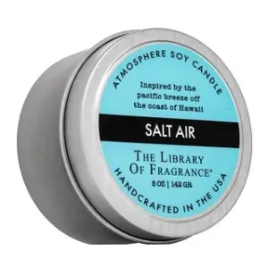 The Library Of Fragrance Salt Air candela profumata 142 g