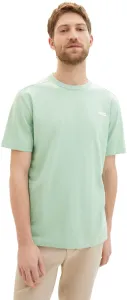 Tom Tailor T-shirt da uomo Regular Fit 1040821.23383 M