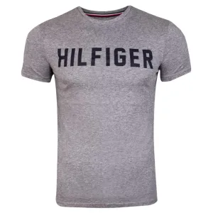Tommy Hilfiger T-shirt da uomoUM0UM02011-PG5 M