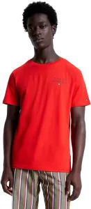 Tommy Hilfiger T-shirt da uomo Regular Fit UM0UM02916-SNE S