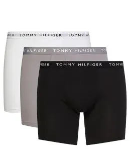 3PACK Men's Boxers Tommy Hilfiger Multicolor (UM0UM02204 0TG)