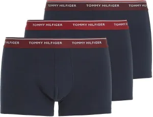 Tommy Hilfiger Woman's Underpants UM0UM016420UL Navy Blue #2994695