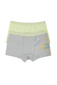 Trendyol Gray-Mint Printed 2-Pack Boy Knitted Boxer #1604273