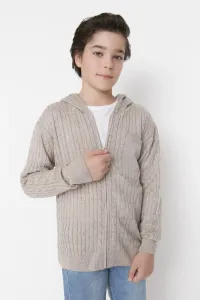 Trendyol Stone Hooded Boy Knitwear Cardigan