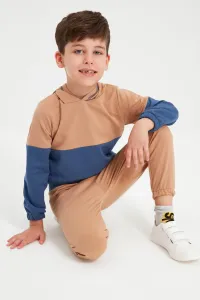 Trendyol Camel Color Block Hooded Boy Knitted Slim Tracksuit Set #1225902