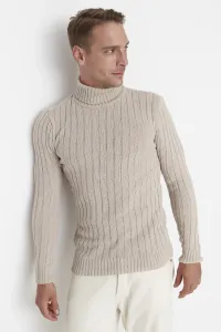 Maglia da uomo  Trendyol Knitwear #1503021