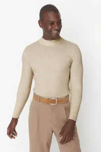 Maglione da uomo Trendyol Basic #1384882