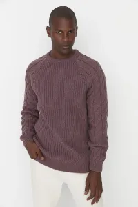 Maglione da uomo Trendyol Knitwear #1052092